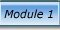 module1